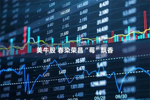 美牛股 春染荣昌“莓”飘香